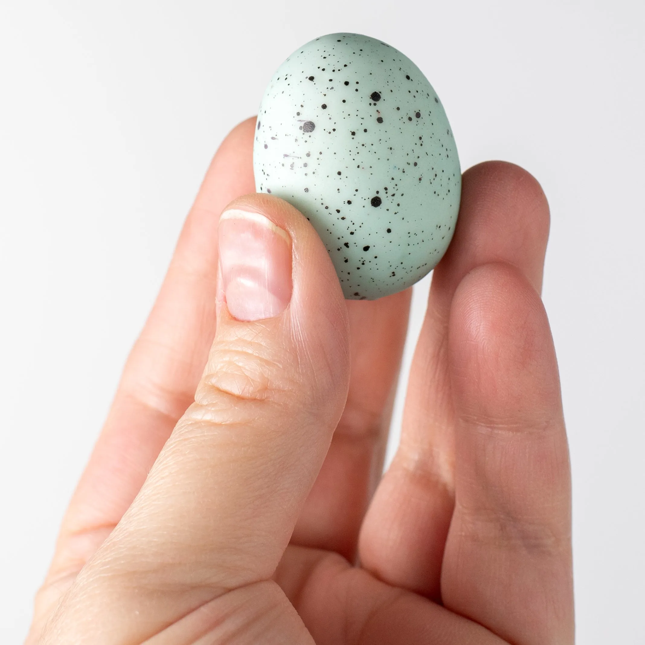 1.5" Eggs: Light Blue & Black (12)