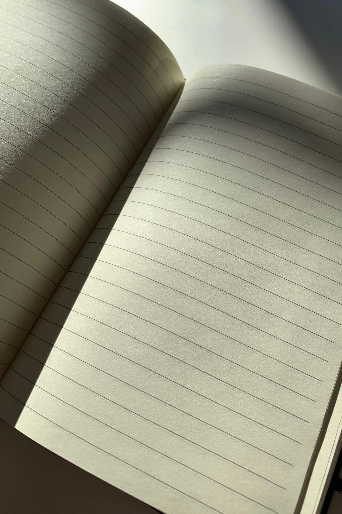 Journal